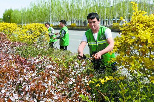 園林養(yǎng)護(hù)三